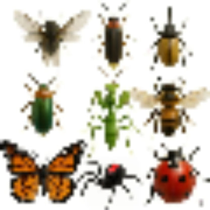 Nature’s Trick Adventskalender 2025