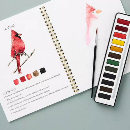 Aquarelli™ | Laat je creativiteit de vrije loop met ons leuke werkboek voor aquarel!