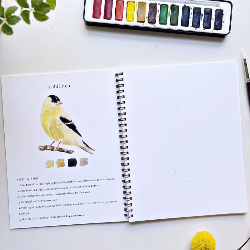 Aquarelli™ | Laat je creativiteit de vrije loop met ons leuke werkboek voor aquarel!
