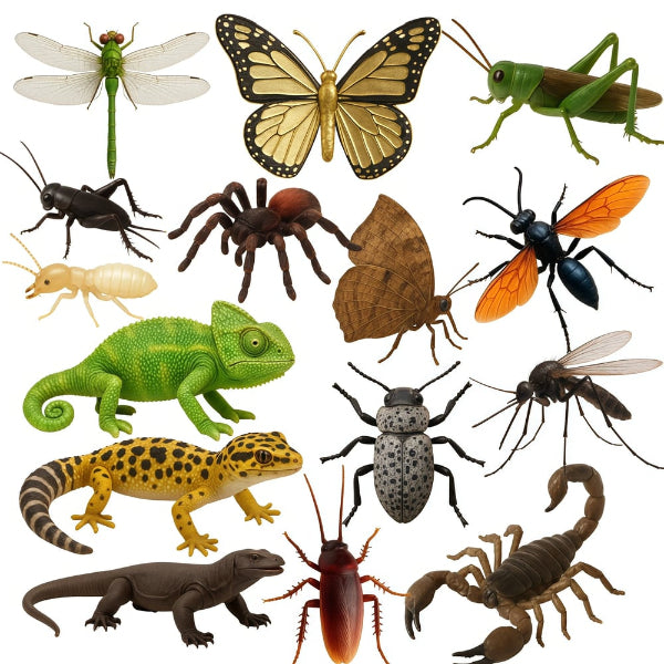 Nature’s Trick Adventskalender 2025